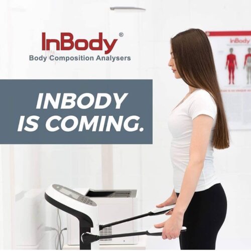 Escáner Bioimpedanciometro Inbody 370s - Imagen 3