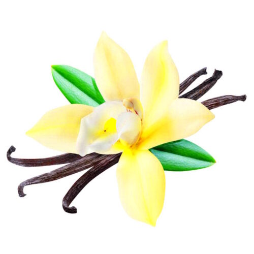 SABOR NATURAL - VAINILLA - UNIDAD RINDE PARA 1 KG DE PRODUCTO BASE